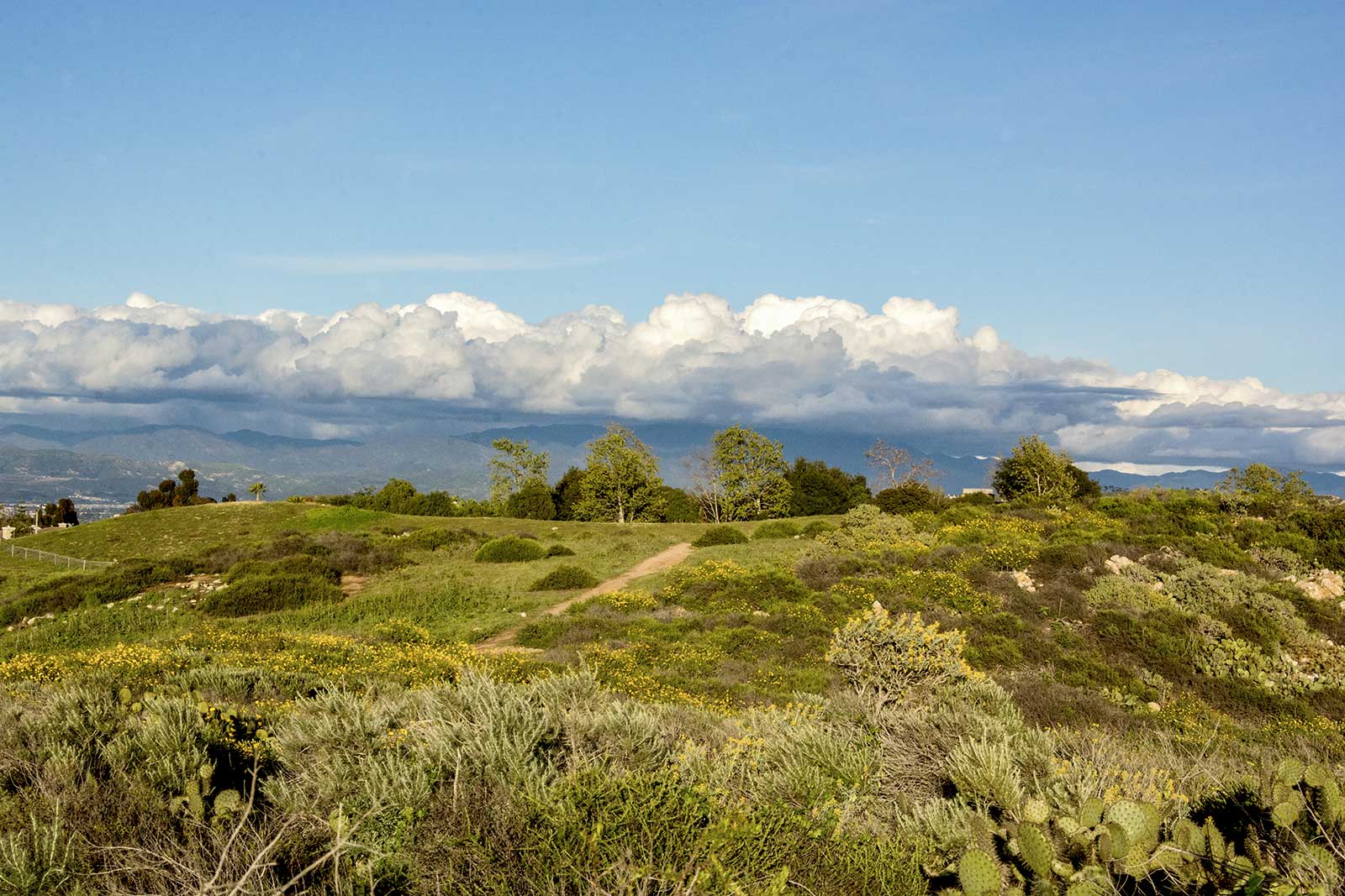 Ecological Preserve